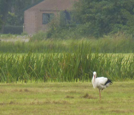 Giethoorn