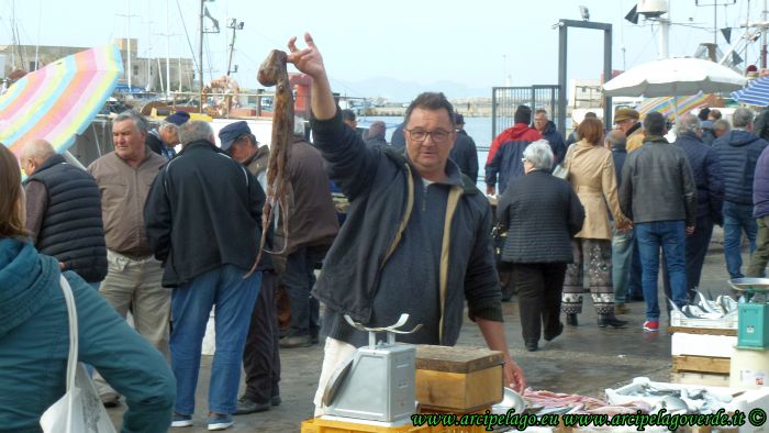 Porto di Trapani