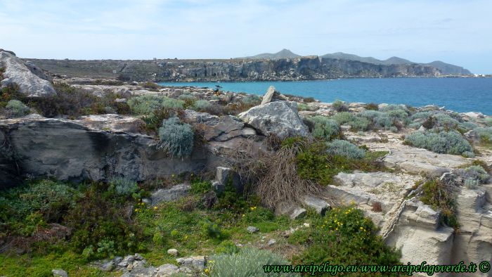 Favignana