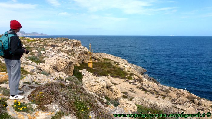 Favignana