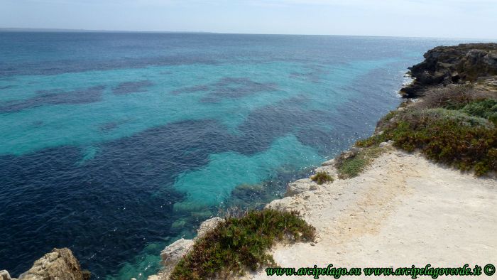 Favignana