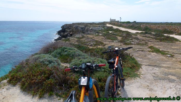 Favignana