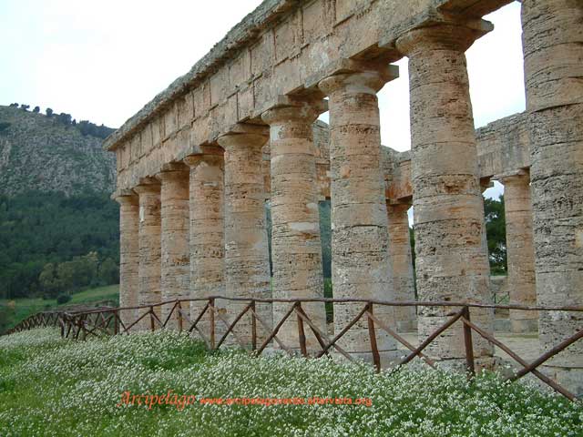 Segesta