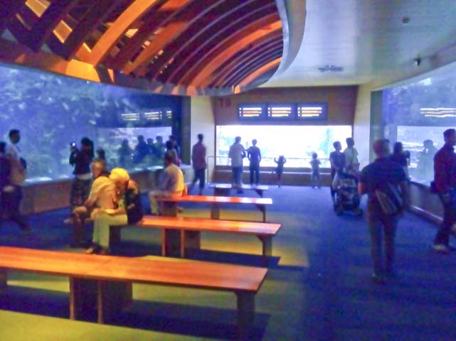 museo oceanografico