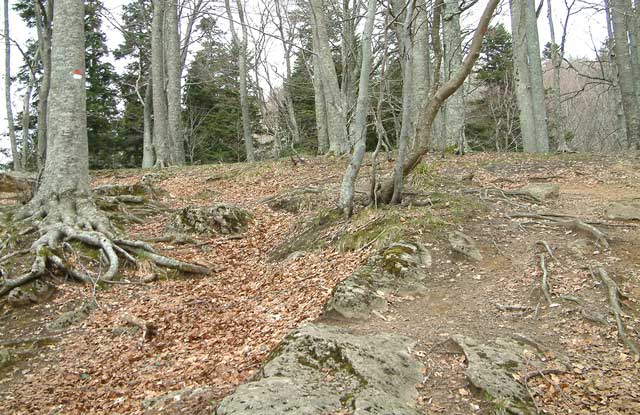 La Verna: sentiero natura