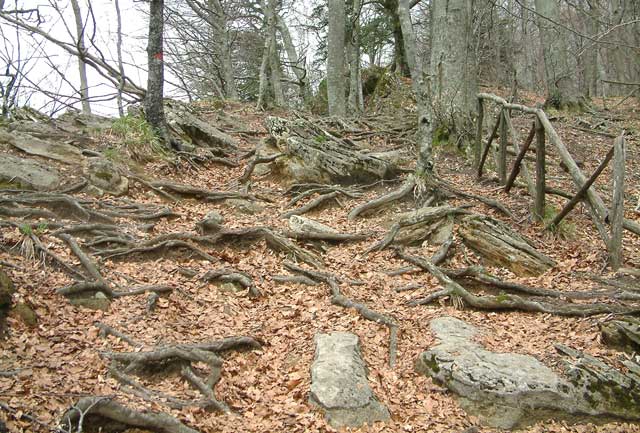 La Verna: sentiero natura