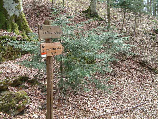 La Verna: sentiero natura